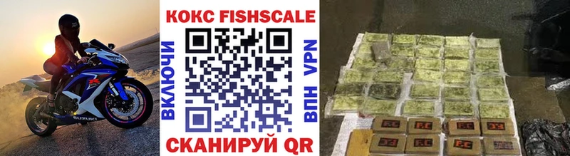 COCAIN FishScale  мега вход  Ершов  дарнет шоп 