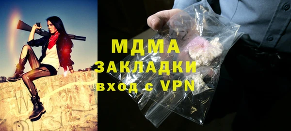 дмт Бородино