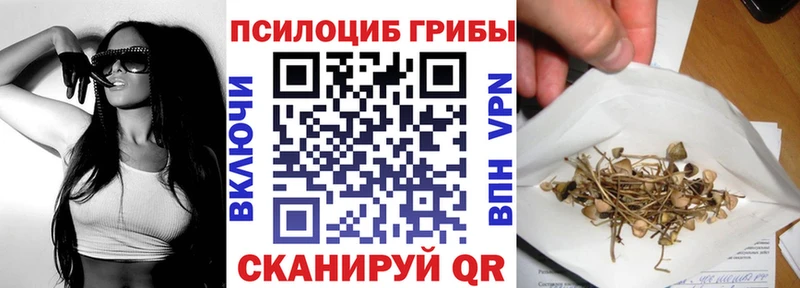 где можно купить   Ершов  Галлюциногенные грибы Psilocybe 
